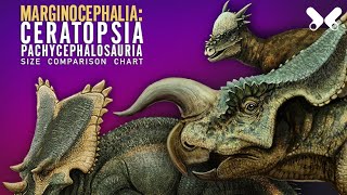 MARGINOCEPHALIA  Horned dinosaurs  Ceratopsia and relatives dinosaur size comparison [upl. by Audley]