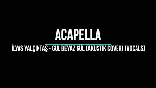 İlyas Yalçıntaş Gül Beyaz Gül Akustik Cover vocals [upl. by Eilata]