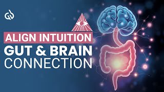 Align Intuition amp Brain Power Gut amp Brain Connection Frequency [upl. by Dafna]