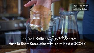 How To Make Kombucha With Or Without A SCOBY  Self Reliant Living 050 [upl. by Jilly]