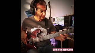 Babooshka  Kate Bush cover  Thierry Bedoucha Bass Cover Jacobacci bass [upl. by Llehcor]