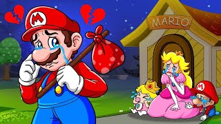 No Mario Please Come Back To Your Family  Very Happy Story  Super Mario Bros Animation [upl. by Catha843]