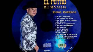 El Potro de Sinaloa  Puros Corridos Disco Completo Exclusivo 2016 [upl. by Philipp]