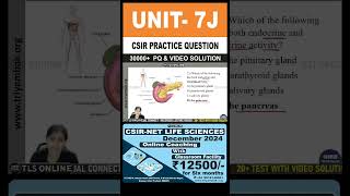 CSIR Practice Question  Unit 7 System Physiology  Topic J Endocrinology and reproduction [upl. by Kafka]