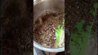 baby leaf plant and cinnamon tree from home garden aromatic tea [upl. by Ylam]