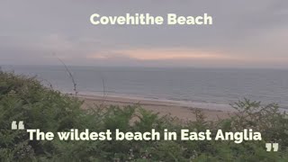 A Visit To Covehithe Beach The Wildest Stretch Of Coastline In East Anglia [upl. by Modnarb]