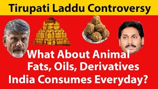 What About Animal Fat Oils We Consume Daily  Chandrabau Naidu Tirupati Laddu News [upl. by Ayatahs974]