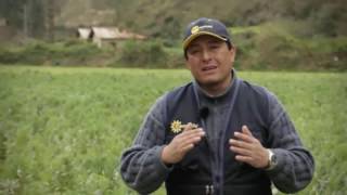 Importancia de la Meteorología en la Agricultura [upl. by Asylla332]