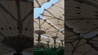 A Glimpse of Masjid alNabawi The Heart of Medina [upl. by Elocen]