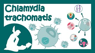 Chlamydia trachomatis  Chlamydial infection  Sexually transmitted disease  Treatment of Chlamydia [upl. by Einhpad850]