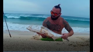 Cape Verde Boa Vista Bluefish on Topwater Part 1 [upl. by Gleda]