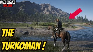 The Turkoman Red Dead Online RDR2 [upl. by Perkin]