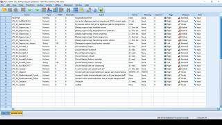 Data in SPSS invoeren  Instructie [upl. by Aratahs]