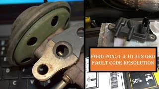 P0401 amp U1262  Ford Exhaust gas recirculation malfunction DI shorts [upl. by Bowles]