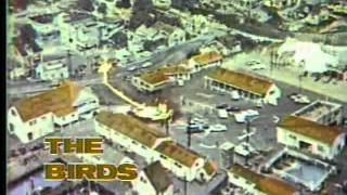 KTXL Film Festival 1980 Open quotThe Birdsquot [upl. by Nevram301]