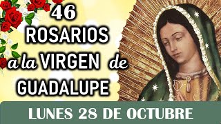 46 Rosarios a la Santísima Virgen de Guadalupe Lunes 28 de Octubre Dia 1 💖 Misterios Gozosos 💖 💖💖 [upl. by Lenneuq]