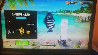 Bot Fishing Clash 052020 Android [upl. by Hachmann]