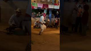 La danza del Pascola y el venado desde Moroncárit Sonora [upl. by Llirred]