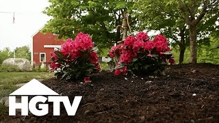 All About Azaleas  Gardening Tips  HGTV [upl. by Seana]