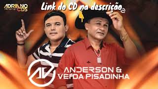 Anderson dos Teclados e o Véi Pisadinha  CD Novo 2019  Ao Vivo  CD Completo [upl. by Ailed]