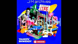 Yaakov Shwekey A Toast To Life  לחיים [upl. by Delastre]