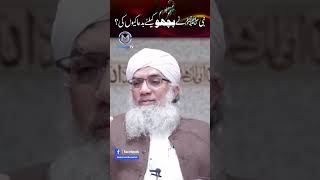 Nabi ﷺ ki Bicho ke ley BadDua Shaykh Abdul RaheemUK Curse for Scorpion بچھو کے لیے بددعا کی وجہ؟ [upl. by Wooster]