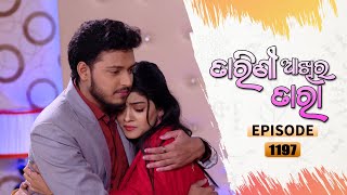 Tarini Akhira Tara  Full Ep 1197  21st Jan 2022  Odia Serial – TarangTV [upl. by Son]