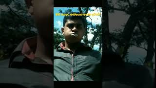 මම ගෙදර තනියෙන් ඉන්න දවසට Kaalacomedytravelfunnylovedancepsylikethattravelvlogmemefyp [upl. by Sara-Ann793]