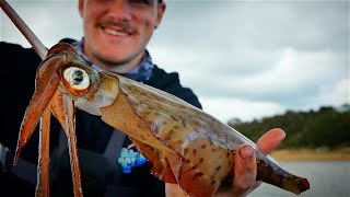 How To Catch Squid  Jetty Fishing [upl. by Olin]