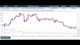 How to Make an Equity Research Report  Listed Share Reports [upl. by Nnyleve577]