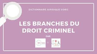 BRANCHES du DROIT CRIMINEL en droit pénal 🔤 [upl. by Noraa]