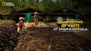 Composting of Waste at Dharmasthala  Indias Mega Kitchens  National Geographic [upl. by Lleddaw870]