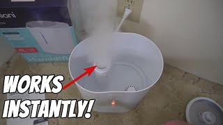 This GENIANI Ultrasonic Cool Mist Humidifier is impressive [upl. by Ewens]