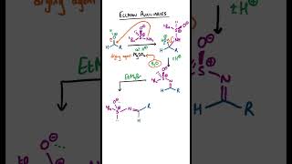 Ellman Auxiliaries for Amine Synthesis chemistry organicchemistry [upl. by Magnien326]