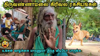 😱திருவண்ணாமலை கிரிவல ரகசியங்களை பற்றி கூறும் பச்சை சாமியார்🙏🕉 tiruvannamalai sithar samiyar [upl. by Quartet908]