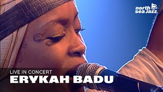 Erykah Badu  Full Concert HD  Live at North Sea Jazz Festival 2001 [upl. by Naujud]