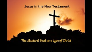 Jesus In The New Testament The Mustard Seed [upl. by Attenreb]