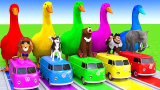 5 Giant Duck CartoonCowElephantTigerLionDinosaurPaint Wild Animals Crossing Fountain Animation [upl. by Sille]