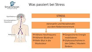 Psychische und körperliche Sympteme bei Stress Webinar  Ausschnitt von SmartVision [upl. by Egdamlat]