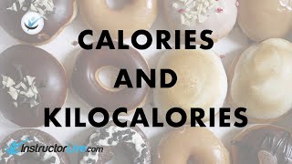 Calories and Kilocalories [upl. by Daht]