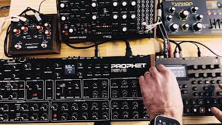 Groovy ambient jam with Moog Labyrinth Elektron Syntakt Prophet Rev2 and Dreadbox Typhon [upl. by Einej246]