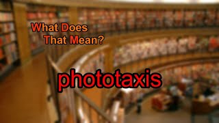 What does phototaxis mean [upl. by Hannon]