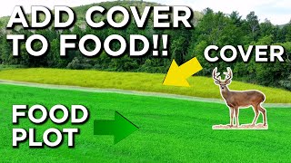 Adding Cover To Your Food Plots [upl. by Enorej680]