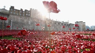 Riding the wave droneview of Tower of London poppy field [upl. by Arissa]