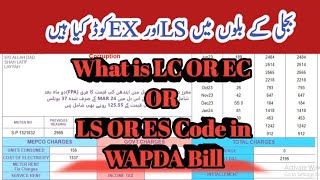 What is LS and EX codes in electricity bill after pro rata consumption  LS code and Ex code [upl. by Jaehne]