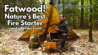 Easy Reliable Fat Wood Fire [upl. by Arielle]