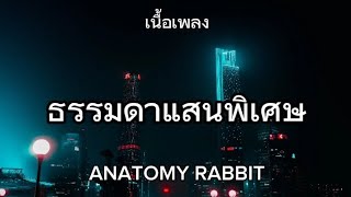 ธรรมดาแสนพิเศษ  ANATOMY RABBIT เนื้อเพลง [upl. by Sama100]