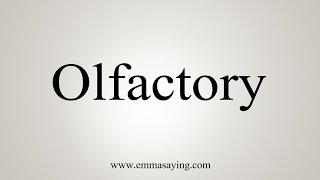 How To Say Olfactory [upl. by Yssep733]