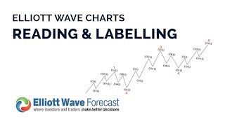 How to Read and Label Elliott Wave Charts  Learn Elliott Wave  Elliott Wave Forecast [upl. by Anahahs]