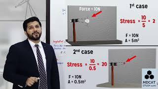 DEFORMATION OF SOLIDS  Chapter 17  Class 12 [upl. by Camilla401]